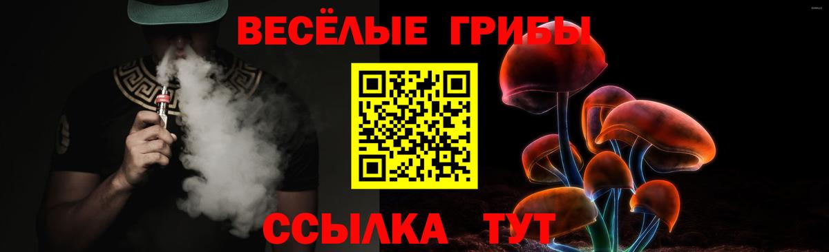 цены наркотик  Вход с VPN  Псилоцибиновые грибы GOLDEN TEACHER  Кстово  Псилоцибиновые грибы мицелий 